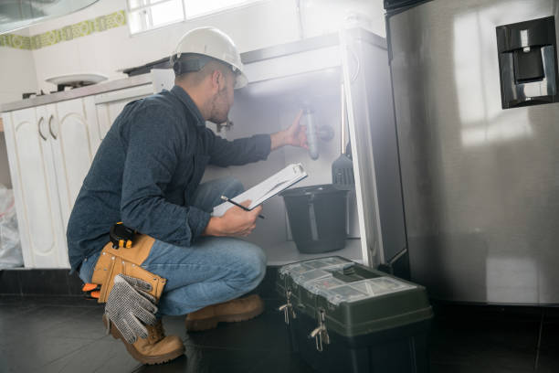 Best Leak Detection Services  in Ham Lake, MN