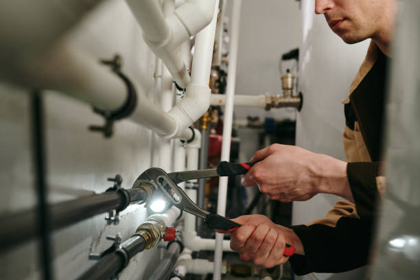 Best Clogged Drain Plumber  in Ham Lake, MN