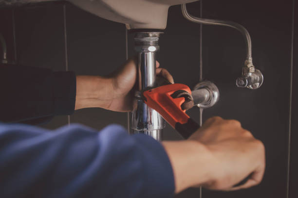 Best Plumbing Inspection Services  in Ham Lake, MN
